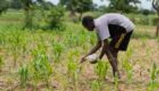 تعهد الزراعة المستدامة في COP28.. خبر سعيد لصغار الفلاحين حول العالم