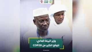 وزير البيئة والصرف الصحي والتنمية المستدامة في مالي