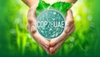 أشجار المانغروف تظلل حيوية COP28.. حماية التنوع البيولوجي أولوية