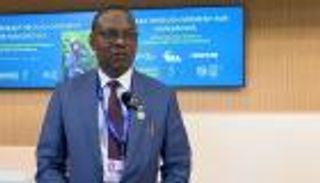 وزير البيئة النيجيري: فقدنا 22% من الغابات ونزرع حالياً 10 ملايين شجرة