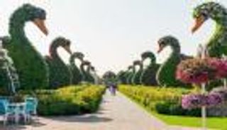 أجمل الحدائق في دبي.. استمتع بمناظر الطبيعية الخلابة