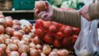 سعر البصل في مصر.. هذه أسباب الأزمة وموعد انتهائها