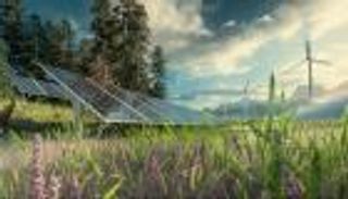 الشركات في الشرق الأوسط وشمال أفريقيا.. بوصلة الحياد الكربوني