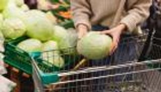 كيفية تخزين الكرنب الطازج طوال العام والحفاظ على جودته