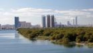 أبوظبي تستكمل زراعة 44 مليون شجرة قرم لمكافحة التغير المناخي (صور)