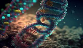 الجينات التي تعزز الخصوبة قد تقصر العمر