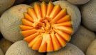 فاكهة ملوثة بالسالمونيلا تقتل وتصيب المئات بأمريكا