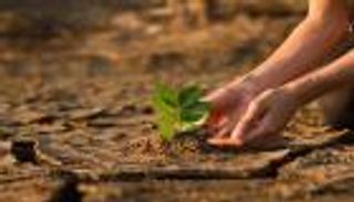 ثلث العالم في خطر.. اتفاقية COP28 تقدم الحلول التاريخية