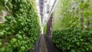 COP28.. استجابات عالمية ملهمة لتأمين الغذاء وخفض الانبعاثات