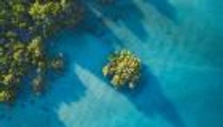 المحيطات بين المد والجزر في COP28 (تحليل)