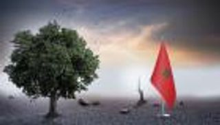 المغرب في «وضعية خطيرة جدا».. موسم جفاف للسنة الـ6