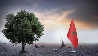 المغرب يتجه نحو موسم جفاف للسنة السادسة تواليا