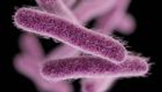 تحذير بريطاني من ارتفاع الإصابات بمرض «ينتقل عبر الجنس»