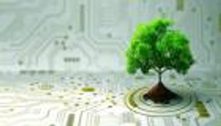 الطريق للحياد الكربوني.. ممارسات مستدامة لمواجهة تغير المناخ