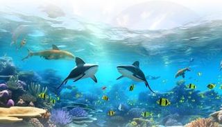 الأنواع البحرية الغازية