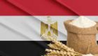 الحكومة المصرية تزف بشرى للمواطنين.. احتياطيات السلع الأساسية آمنة