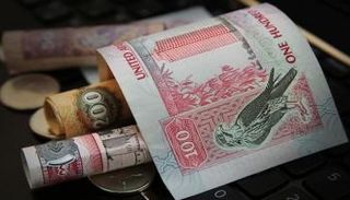 تسهيلات بنكية للشركات الصغيرة الإماراتية