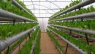 الزراعة صديقة المناخ.. «أرضي» برنامج مستدام لتوفير الغذاء للأجيال القادمة