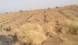 6 سنوات عجاف.. الجفاف يقود المغرب إلى حافة العطش والحكومة تُحذر