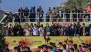 مشاركة استثنائية.. 8 مشاهد مميزة من سباق زايد الخيري في مصر 2023