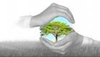 مكافحة التغيرات المناخية «أولوية الجميع».. سياسات وحلول عربية