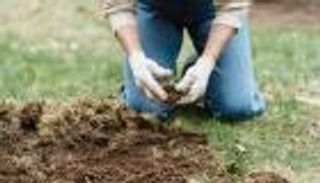 هل تحل "فضلات الإنسان" "أزمة الأسمدة العالمية"؟.. دراسة تجيب