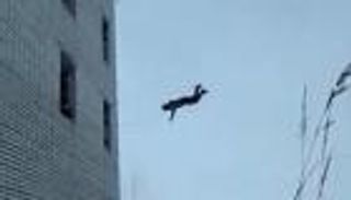 زلزال تركيا.. حقيقة إقدام شاب على إلقاء نفسه من النافذة (فيديو)