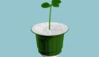 ما علاقة كبسولات القهوة بالاحتباس الحراري؟.. سلاح أخضر