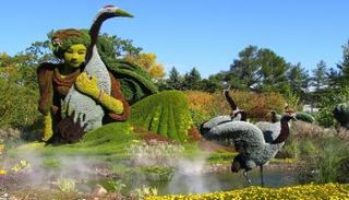 السياحة في مونتريال…5 أماكن سياحية مذهلة بالصور