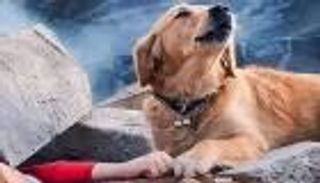 زلزال سوريا وتركيا.. أشهر 5 صور وفيديوهات مفبركة عن المأساة