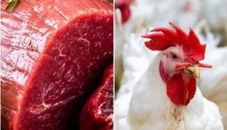 أسعار الدواجن واللحوم في مصر - أرشيفية