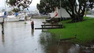 الأمطار في نيوزيلندا 