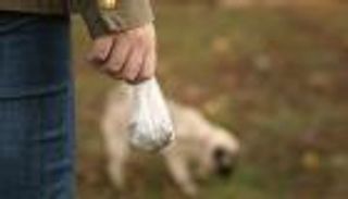 بسبب مقال.. مدير فرقة باليه هانوفر يلطخ وجه ناقدة بـ"براز كلاب"