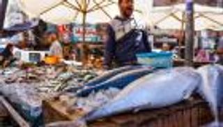 انفراجة بالسوق.. أسماك روسية في طريقها إلى مصر