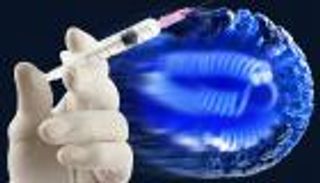 الإعلام وخطر الفيروسات.. وعي مطلوب أم بحث عن ترند؟ (خاص)