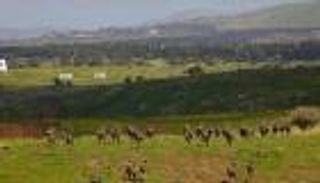 إسرائيل تعتقل سوريا بزعم تخطيطه لجمع معلومات استخبارية