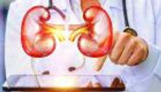 أفضل فاكهة تغسل الكلى.. والفواكه المفيدة والمضرة لمرضى الكلى