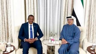  الشيخ منصور بن زايد آل نهيان خلال استقباله حميدتي- وام