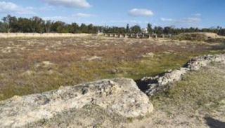 صورة من الموقع 