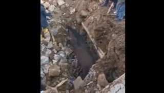 الحصان لحظة انتشاله - تويتر