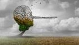 "Greenwash".. ظاهرة خطيرة تحرق الاقتصاد الأخضر