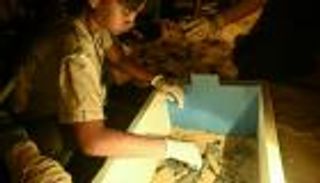 طفل ينجز وثائقياً للتوعية بسلاحف معرضة للانقراض في تايلاند