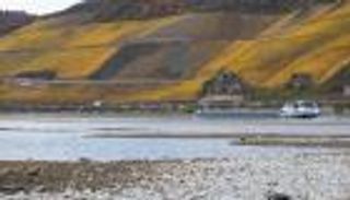 الجفاف يضرب نهر الراين في ألمانيا