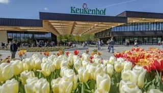 معرض Keukenhof