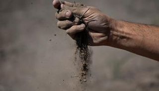 قطاع الزراعة سيضيف درجة مئوية لحرارة الأرض بحلول 2100