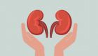 اليوم العالمي للكلى 2023.. كل شيء عن "القاتل الصامت"