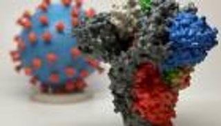 باحث ياباني يوضح لـ"العين الإخبارية" تفاصيل اكتشاف حمض أميني طبيعي يقود لعلاج "كورونا" (حوار)