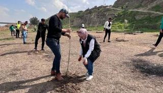 مكافحة التصحر بزراعة الأشجار في العراق - أرشيفية