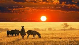 السياحة في جمهورية أفريقيا الوسطى.. 5 مزارات في رحلة مع الطبيعة