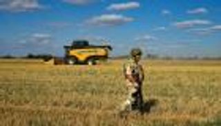 جنون أسعار القمح على وقع اتفاق الحبوب.. هل تنجح مهمة جنيف؟